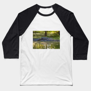 Resting Alligator in the Swamp Baseball T-Shirt